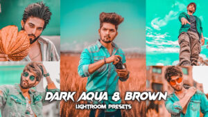 dark aqua and brown